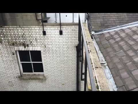 Pest Protect video.