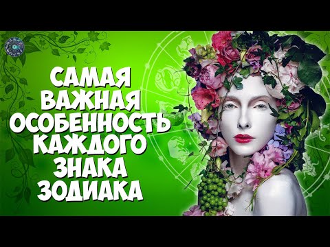 Самая важная особенность каждого знака зодиака