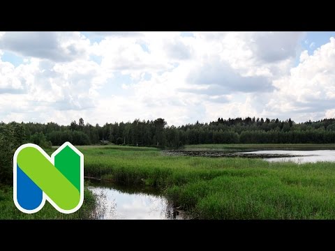 Nastolan alue - Uusikylä, Sylvöjärven uimapaikka ja lintutorni