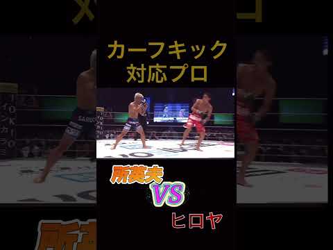 カーフキックにカウンター‼️さすがベテラン経験値が違う👍 #rizin #所英男 #カウンター #格闘技 #格闘家 #ブレイキングダウン #shorts #short #fyp