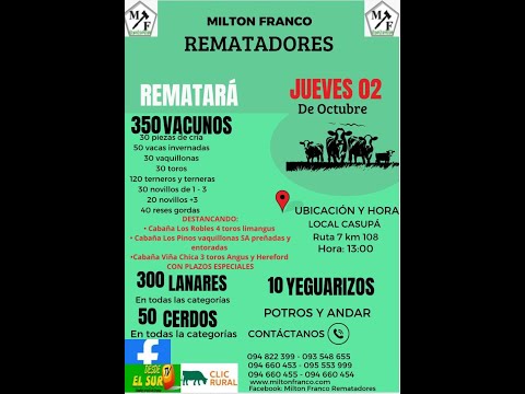 2/10/2025 Local Casupá - Florida - Feria mensual - Milton Franco