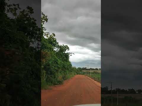 TEMPESTADE CHEGANDO, FLORES AO VENTO PRÓXIMO A ROSANA SP