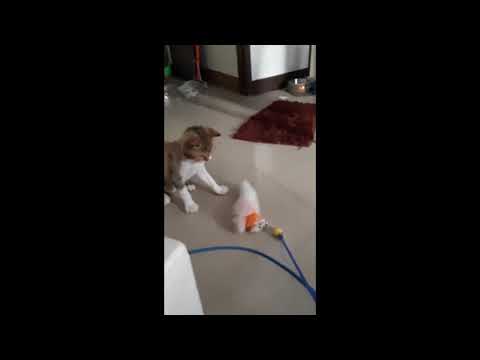 P x x M - KNOCK 'EM HOUSE l RAP IS NOW