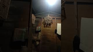 Download lagu 👉semua butuh proses mp3