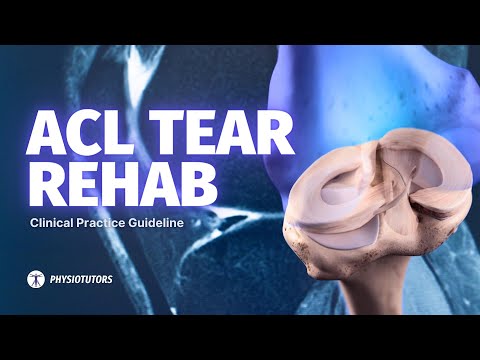 How to Rehab an ACL Injury | 2023 Guideline Review