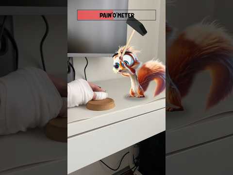 Scrappy Helps Me With A Hammer #squirrel #pet #comedy