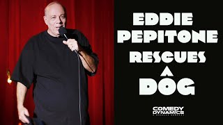 Eddie Pepitone - Charlotte