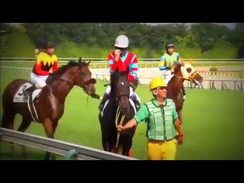 【競馬】 東京優駿（日本ダービー） 2013年 キズナ エピファネイア - マヤノタバラのJRA頭脳