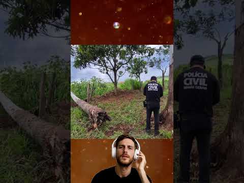 A queda da árvore matou bebê na estrada após folia.