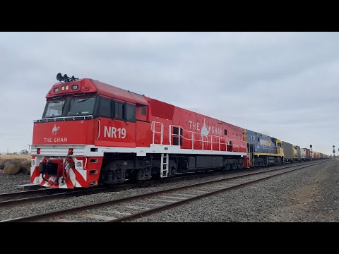 2AM5 Pacific National freight with two NR’s NR19 (GHAN) NR117 passing through Gheringhap 4/3/2025