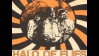 Halo Of Flies   Human Fly