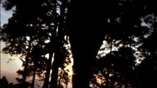 Nada bueno en mi, IDAIRA