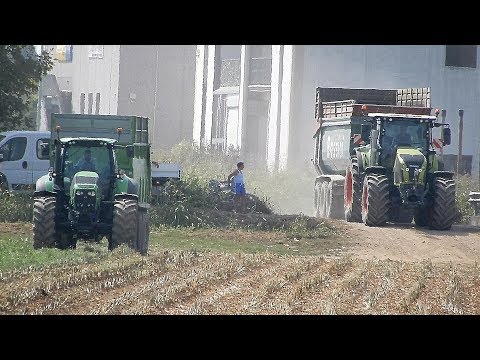 CAMPAGNA TRINCIATO MAIS 2018 - Trailer