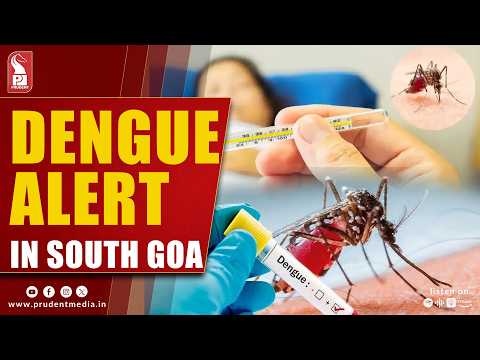 Dengue Cases Surge At South Goa District Hospital, 71 Test Positive In August So Far