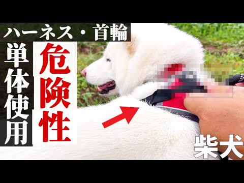 YouTube動画・サムネイルの作成を致します イメージ1