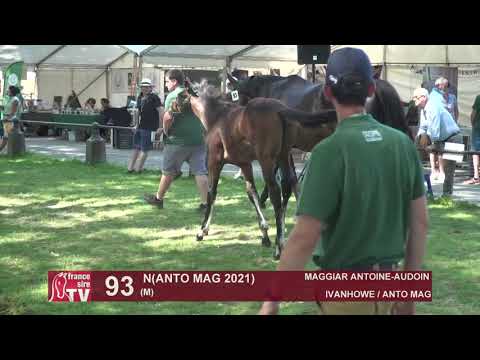 Sprinter Sacré Show 2021 : Lot 93 - N.21 Anto Mag