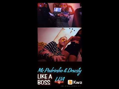 MC Pedrinho e Dnasty - Lua (GR6 Filmes) Willsbife