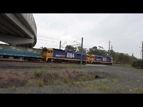 8113 / 8184 with PN empty grain 1MC6 - 4/11/24