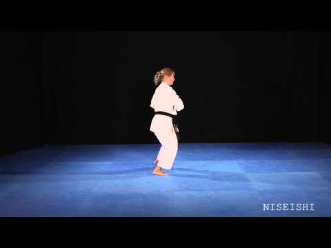 Shito Ryu Shukokai Niseishi Rear View