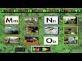 Photo Safari Game HD From Kids Zoo A Baby Animal Adventure MS DOS Packard Bell Version