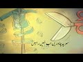 30 Sec Clip On Occasion Of 15 Shaban Wiladat E Imam Mehdi As 2