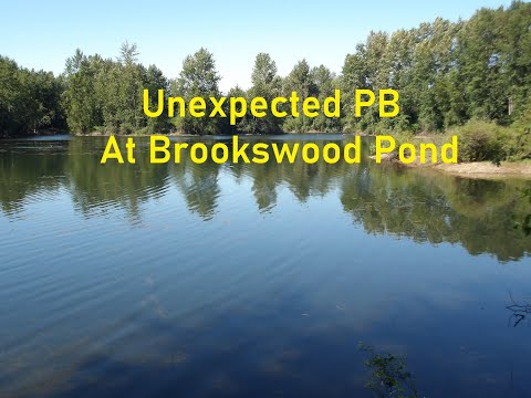 Unexpected PB At Brookswood Pond