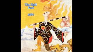 Fool by The Enid (with Malcolm Le Maistre) 1980