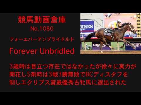 【競馬】フォーエバーアンブライドルド　Forever Unbridled【No1080】