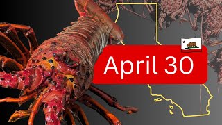 It's Time to Submit your Lobster Cards