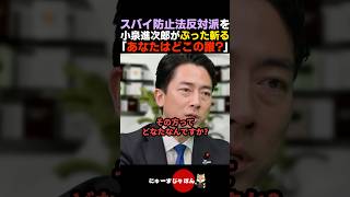 【きっぱり】スパイ防止法反対派に小泉進次郎がぶった斬る【自民党/高市早苗】