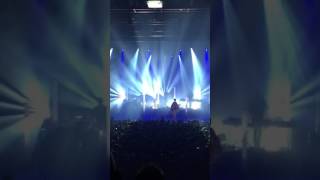 Oscar and the Wolf - The Game