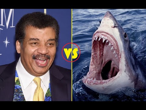 Tyson vs Jaws