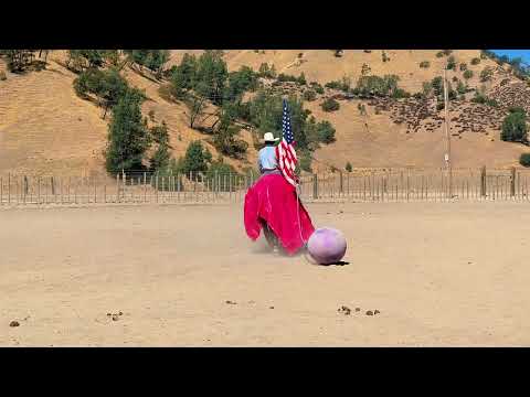 youtube preview