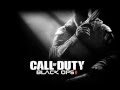 Call of Duty: Black Ops II | Avenged Sevenfold ...