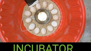 Easy Home made incubator without temperature controller.and hatching chicken eggs