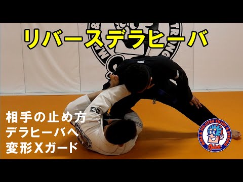 リバースデラヒーバ　デラヒーバからバックへ　変形Xガードスイープ