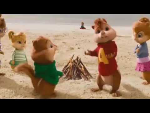 master sina amigo version les chimpkus