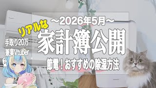 【家計簿公開】1人暮らし手取り20万💰予算の見直しと、おすすめの除湿方法。