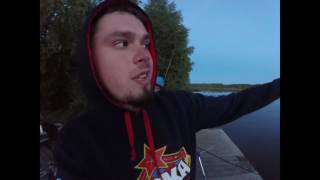 Отчет о рыбалке пруд фишка петряиха