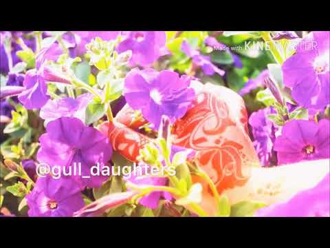 Arabic and India henna design | نقش حنا عربي و هندي | اغنية : ماجد المهندس (عشان (