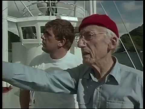 Palawan : Le dernier refuge - VF