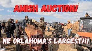 This Amish Auction Never Disappoints! What Unbelievable Deals did I find
