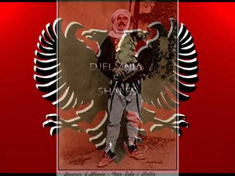 KENGA E MARK LULES TE SHALES origjinale PREK VUKAJ