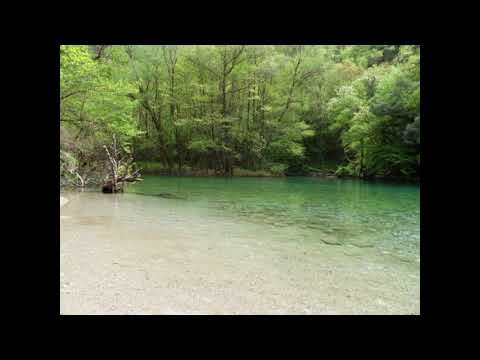 Armen Chakmakian.Caravans.