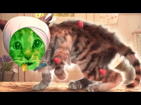 Play Fun Costume Dress-Up Party - Little Kitten Adventures - Educational Games For Children