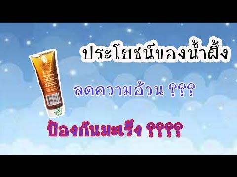 รถบัส Excite ผู้หญิง หัวโจกใหญ่สาวน้อย