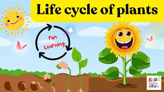 Life Cycle of a Plant 🌱 | seed Germination | Learn How Plants Grow/Learn with Fun Animation