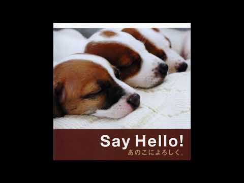 Say Hello! - Yoko Kanno