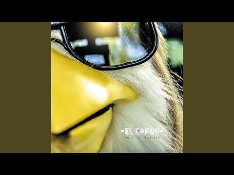 Video thumbnail for Shut Up Chicken (Radio Edit)