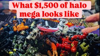 Massive $1500 eBay Halo Mega Haul!